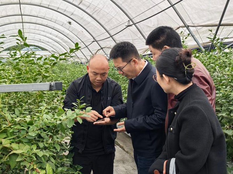 广东农业科技：现代农业的智慧引擎